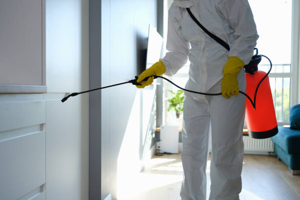 Best Emergency Mold Removal  in Westway, TX