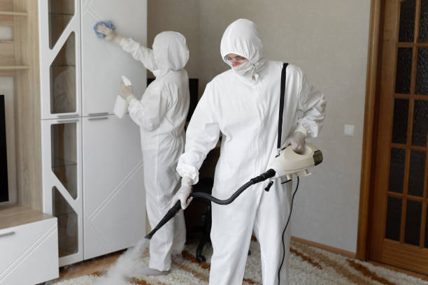 Best Certified Mold Removal  in Westway, TX