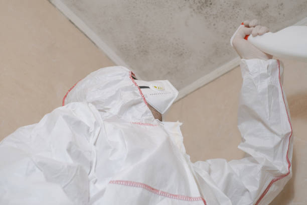 Best Professional Mold Removal  in Westway, TX