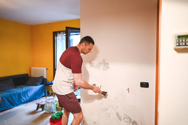 Best Commercial Mold Removal  in Westway, TX